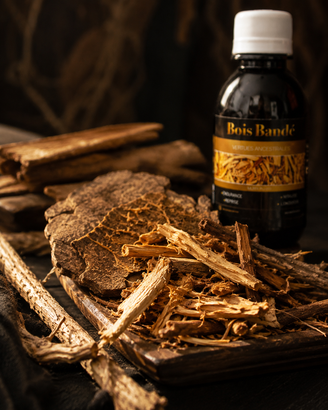 Bois Bandé – Muira Puama | Vitalité & Endurance Naturelle
